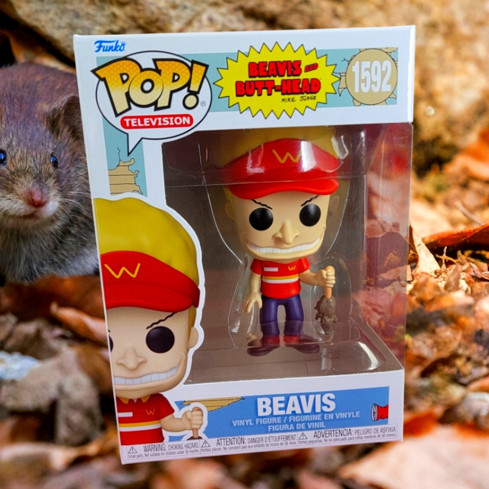 Beavis funko # 1592 (nib) With pop protector